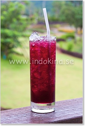 PB Valley Khao Yai Winery Thailand